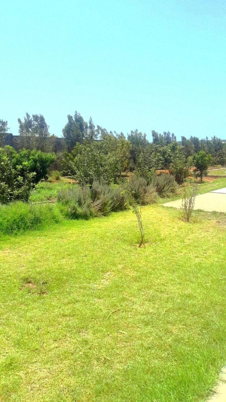 Villa Ferme Prive Avec Piscine Safí Exterior foto
